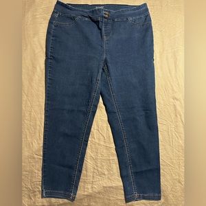 Terra and Sky pull on jeans seize 2X 20-22W NWOT